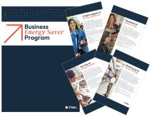 PSE&G BES Sales Kit Grouping