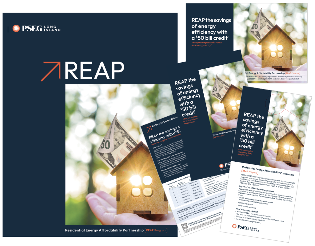 PSEG Long Island 2024 REAP Campaign