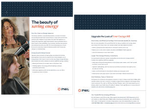 PSE&G BES Sales Kit Salon Sell Sheet